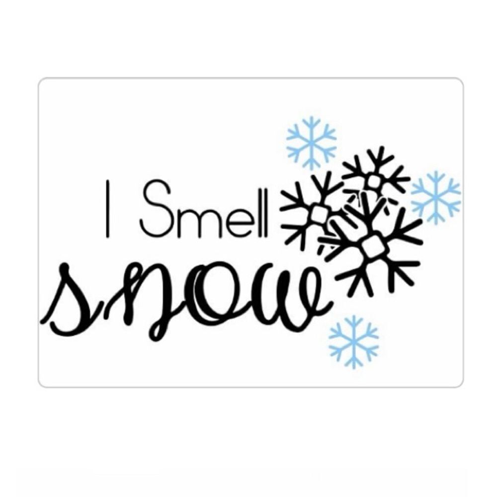 Gilmore Girls I Smell Snow Magnet